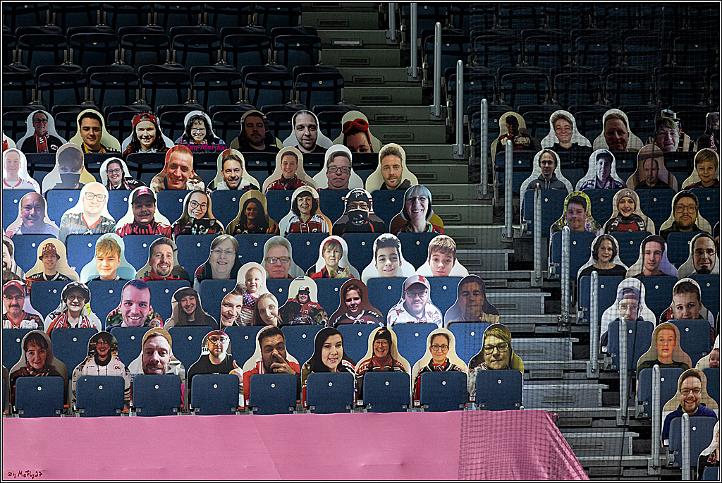 PENNY DEL;  Koelner Haie - Fischtown Pinguins Bremerhaven; Koeln, 12.02.2021